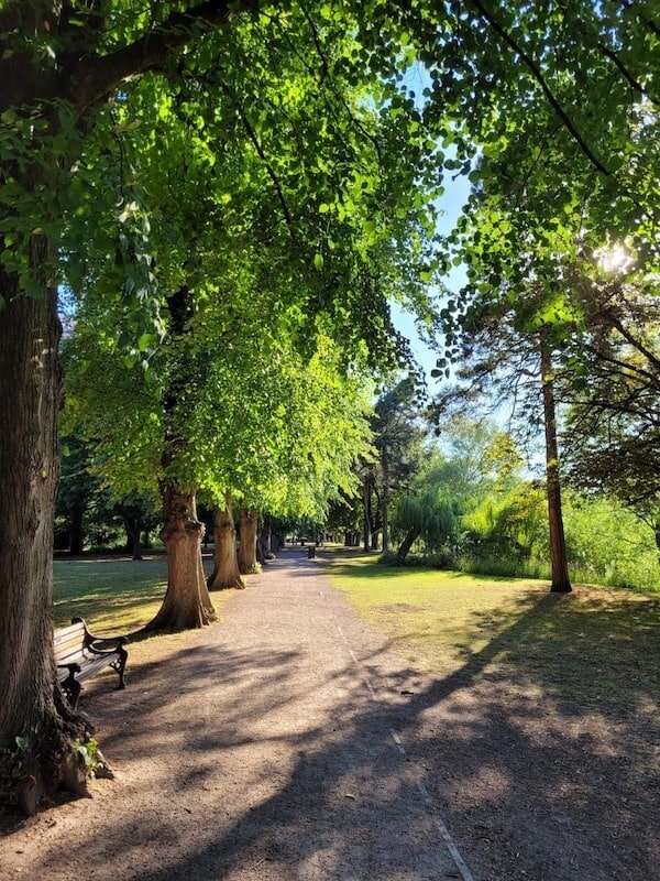 Tree lined path at Highfields Park, Beeston, Nottingham