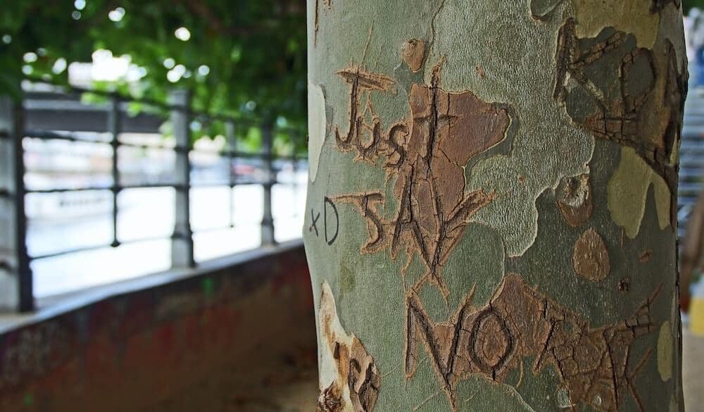 'Just say no' carved into a tree